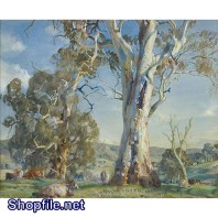 Tranh sơn dầu cây bạch đàn lớn